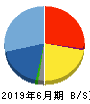 ネットマーケティング 貸借対照表 2019年6月期 ネットマーケティング 貸借対照表 2019年6月期
