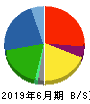 ウイルプラスホールディングス 貸借対照表 2019年6月期 ウイルプラスホールディングス 貸借対照表 2019年6月期