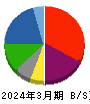 ヒロタグループホールディングス 貸借対照表 2024年3月期 ヒロタグループホールディングス 貸借対照表 2024年3月期