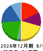 ディーエムソリューションズ 貸借対照表 2024年12月期