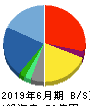 システムサポート 貸借対照表 2019年6月期 システムサポート 貸借対照表 2019年6月期