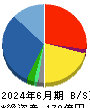 ウイルテック 貸借対照表 2024年6月期 ウイルテック 貸借対照表 2024年6月期