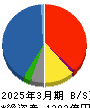 大木ヘルスケアホールディングス 貸借対照表 2025年3月期 大木ヘルスケアホールディングス 貸借対照表 2025年3月期
