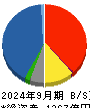 大木ヘルスケアホールディングス 貸借対照表 2024年9月期