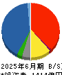 大木ヘルスケアホールディングス 貸借対照表 2025年6月期