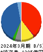 大木ヘルスケアホールディングス 貸借対照表 2024年3月期 大木ヘルスケアホールディングス 貸借対照表 2024年3月期