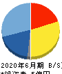 サイジニア 貸借対照表 2020年6月期 サイジニア 貸借対照表 2020年6月期