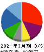 QLSホールディングス 貸借対照表 2021年3月期 QLSホールディングス 貸借対照表 2021年3月期