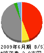 あいおい損害保険 貸借対照表 2009年6月期