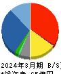 SHINKO 貸借対照表 2024年3月期 SHINKO 貸借対照表 2024年3月期