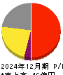 ザインエレクトロニクス 損益計算書 2024年12月期