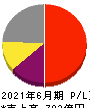レーザーテック 損益計算書 2021年6月期 レーザーテック 損益計算書 2021年6月期