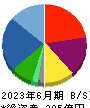 アンビションＤＸホールディングス 貸借対照表 2023年6月期
