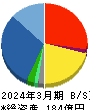 ウイルテック 貸借対照表 2024年3月期 ウイルテック 貸借対照表 2024年3月期