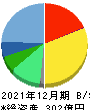 ジーエヌアイグループ 貸借対照表 2021年12月期 ジーエヌアイグループ 貸借対照表 2021年12月期