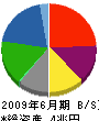 新日本石油 貸借対照表 2009年6月期