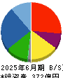 ウイルプラスホールディングス 貸借対照表 2025年6月期
