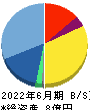 グリーンモンスター 貸借対照表 2022年6月期 グリーンモンスター 貸借対照表 2022年6月期