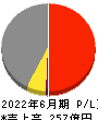 THEグローバル社 損益計算書 2022年6月期 THEグローバル社 損益計算書 2022年6月期