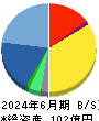 デジタル・インフォメーション・テクノロジー 貸借対照表 2024年6月期 デジタル・インフォメーション・テクノロジー 貸借対照表 2024年6月期