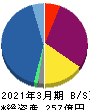 ウェルス・マネジメント 貸借対照表 2021年3月期 ウェルス・マネジメント 貸借対照表 2021年3月期