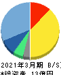ベクターホールディングス 貸借対照表 2021年3月期