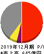 ツバキ・ナカシマ 損益計算書 2019年12月期
