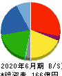 ウイルプラスホールディングス 貸借対照表 2020年6月期 ウイルプラスホールディングス 貸借対照表 2020年6月期