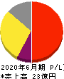 日本情報クリエイト 損益計算書 2020年6月期