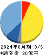 ネットイヤーグループ 貸借対照表 2024年6月期