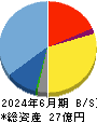 情報戦略テクノロジー 貸借対照表 2024年6月期