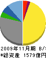 東京スタイル 貸借対照表 2009年11月期