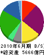 三菱レイヨン 貸借対照表 2010年6月期