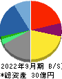 バーチャレクス・ホールディングス 貸借対照表 2022年9月期