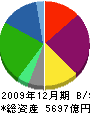三菱レイヨン 貸借対照表 2009年12月期