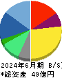バルテス・ホールディングス 貸借対照表 2024年6月期