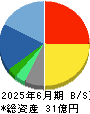 ディ・アイ・システム 貸借対照表 2025年6月期