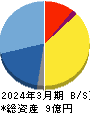 Ｒｅｃｏｖｅｒｙ　Ｉｎｔｅｒｎａｔｉｏｎａｌ 貸借対照表 2024年3月期