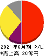 アイキューブドシステムズ 損益計算書 2021年6月期 アイキューブドシステムズ 損益計算書 2021年6月期