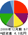 新日本石油 貸借対照表 2008年12月期