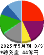 鉄人化ホールディングス 貸借対照表 2025年5月期