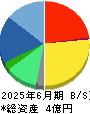 Ｗｉｌｌ　Ｓｍａｒｔ 貸借対照表 2025年6月期
