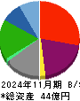 鉄人化ホールディングス 貸借対照表 2024年11月期