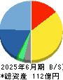 デジタル・インフォメーション・テクノロジー 貸借対照表 2025年6月期 デジタル・インフォメーション・テクノロジー 貸借対照表 2025年6月期
