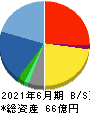 システムサポート 貸借対照表 2021年6月期 システムサポート 貸借対照表 2021年6月期