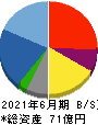 サニーサイドアップ 貸借対照表 2021年6月期 サニーサイドアップ 貸借対照表 2021年6月期