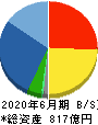 レーザーテック 貸借対照表 2020年6月期 レーザーテック 貸借対照表 2020年6月期
