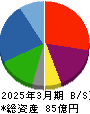 トラストホールディングス 貸借対照表 2025年3月期