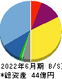 ステラファーマ 貸借対照表 2022年6月期