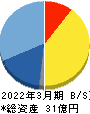 ネットイヤーグループ 貸借対照表 2022年3月期 ネットイヤーグループ 貸借対照表 2022年3月期